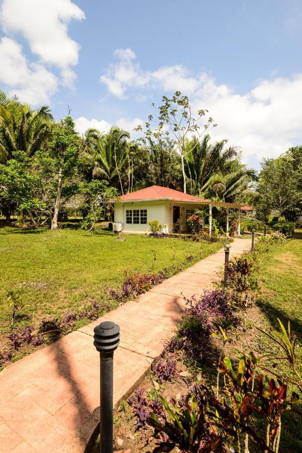 Kikiwitz Resort Belmopan Exterior foto