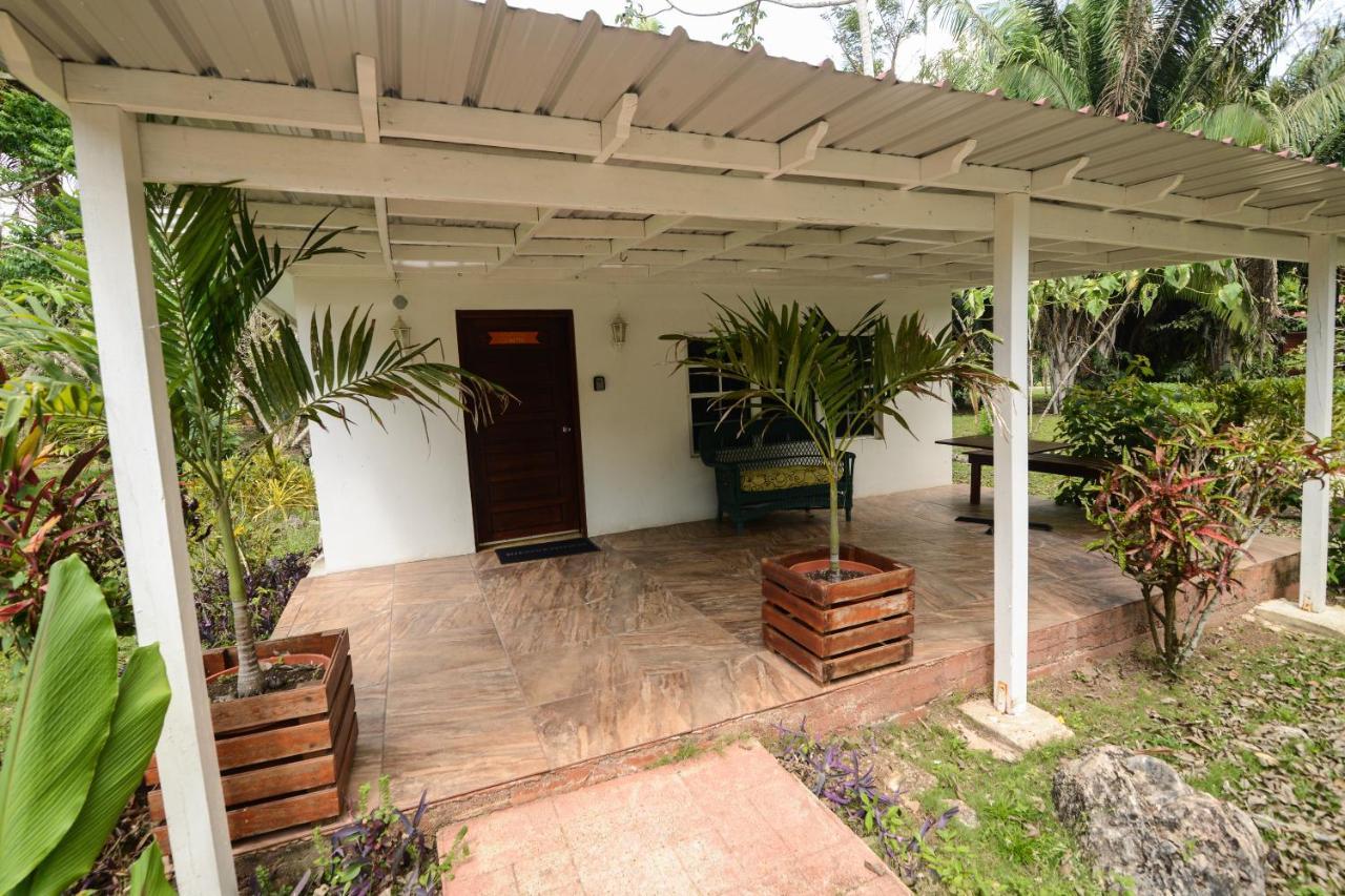 Kikiwitz Resort Belmopan Exterior foto
