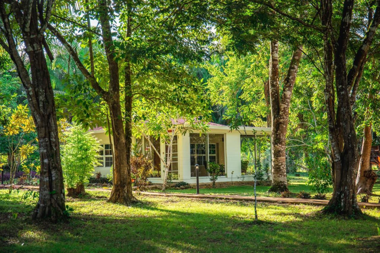 Kikiwitz Resort Belmopan Exterior foto