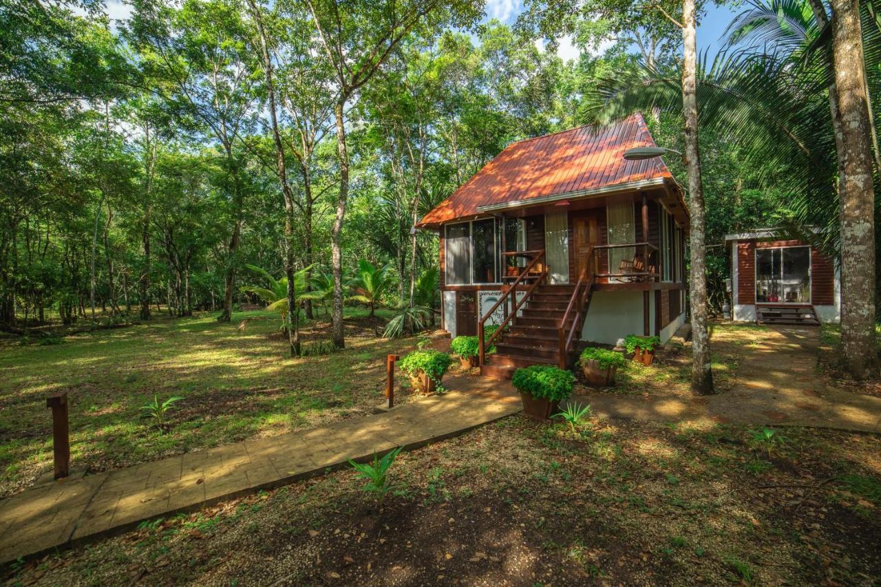 Kikiwitz Resort Belmopan Exterior foto